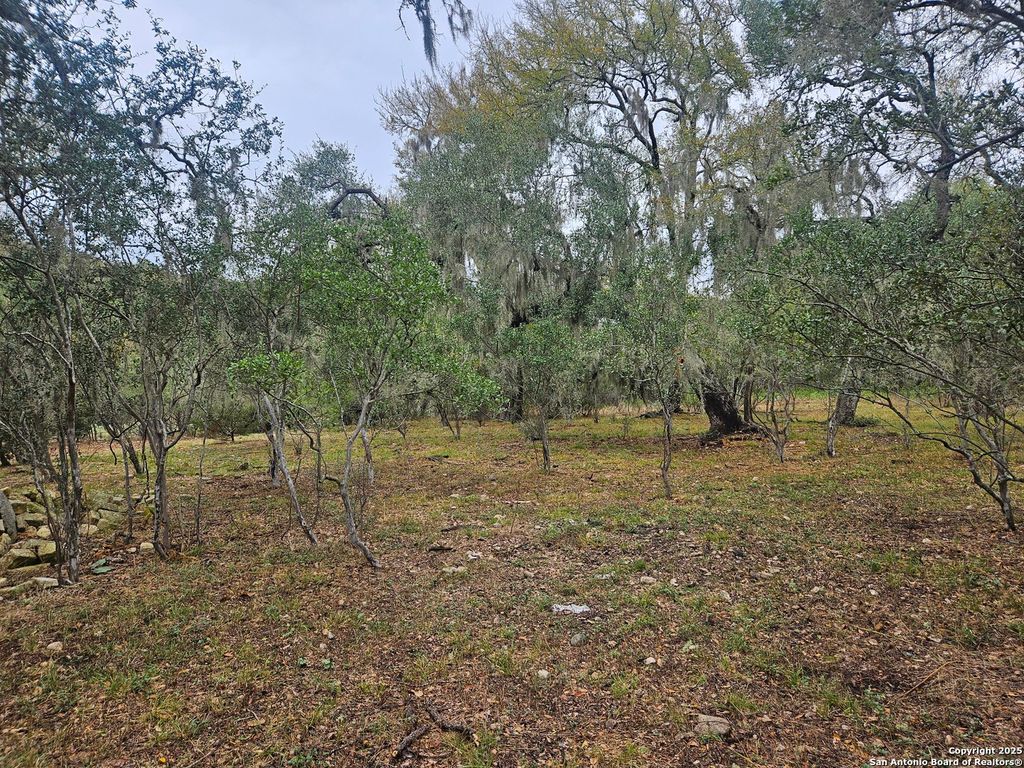 481 RIVER CHASE WAY, New Braunfels, TX 78132