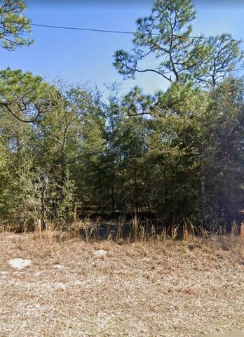 NE 151ST AVE, Williston, FL 32696