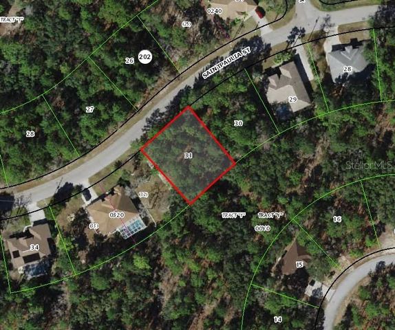 31 SAINTPAULIA STREET, Homosassa, FL 34446