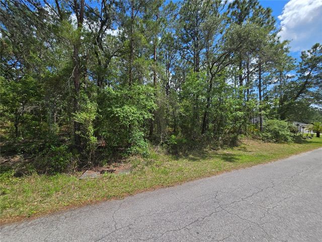 31 SAINTPAULIA STREET, Homosassa, FL 34446