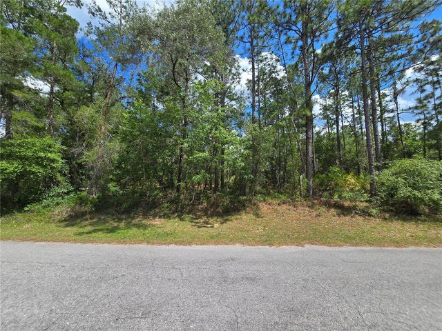 31 SAINTPAULIA STREET, Homosassa, FL 34446