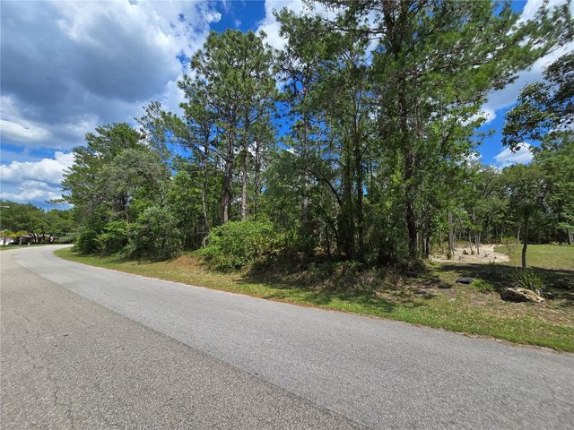 31 SAINTPAULIA STREET, Homosassa, FL 34446