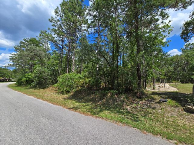 31 SAINTPAULIA STREET, Homosassa, FL 34446