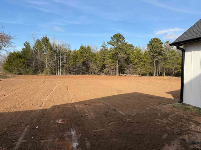 18235 County Road 295, Arp, TX 75750