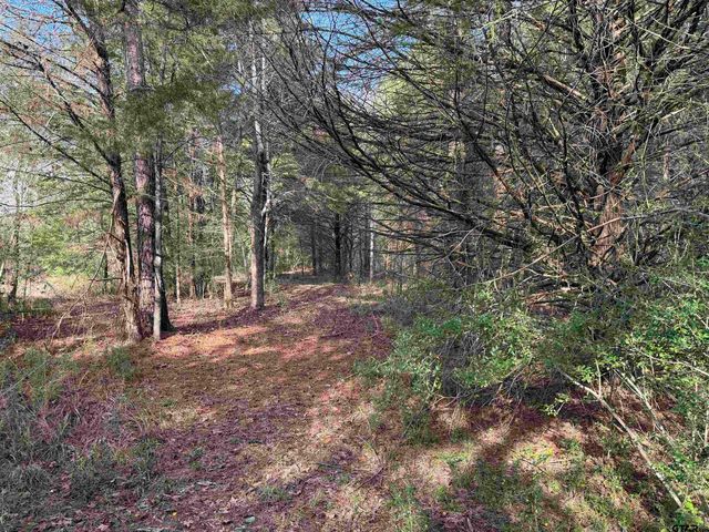 18235 County Road 295, Arp, TX 75750