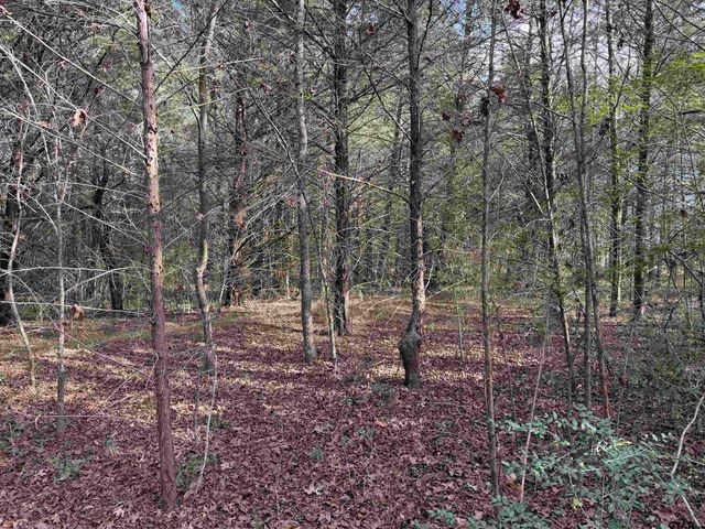 18235 County Road 295, Arp, TX 75750