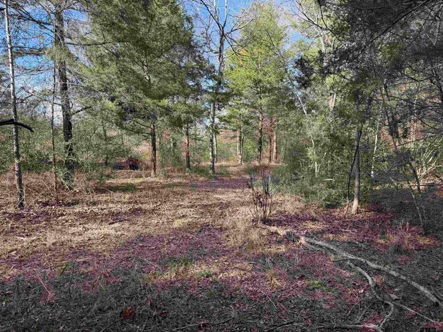 18235 County Road 295, Arp, TX 75750