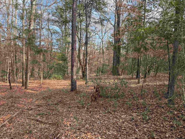 18235 County Road 295, Arp, TX 75750