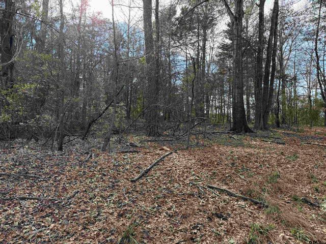 18235 County Road 295, Arp, TX 75750