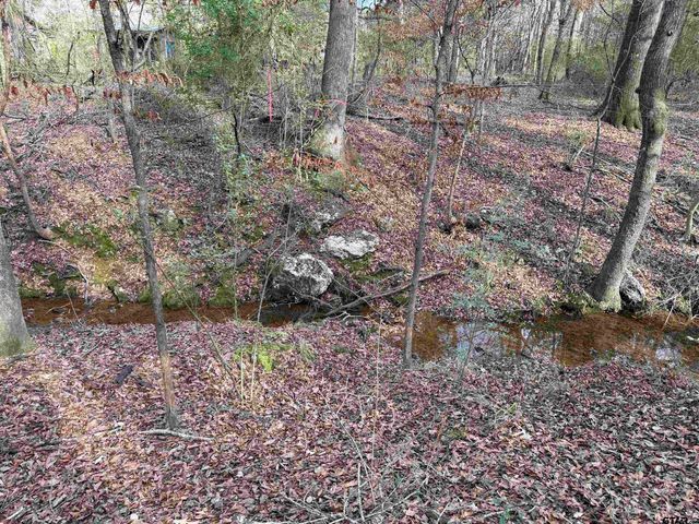 18235 County Road 295, Arp, TX 75750