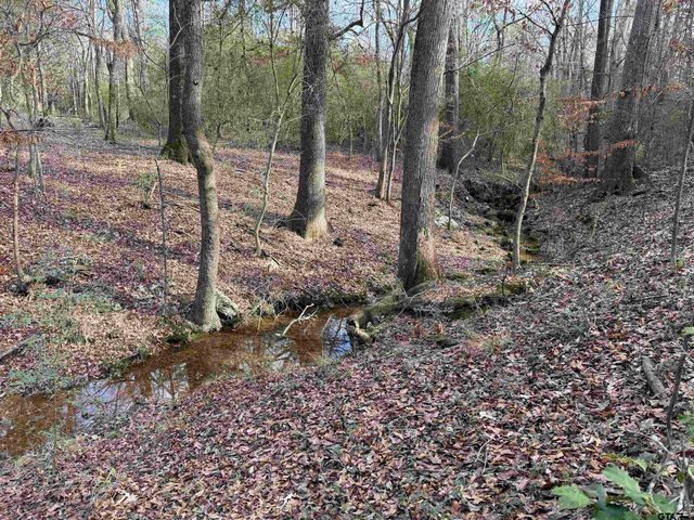 18235 County Road 295, Arp, TX 75750