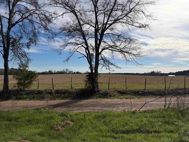 18235 County Road 295, Arp, TX 75750