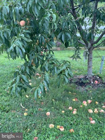 510 CILANTRO CT, Middletown, DE 19709