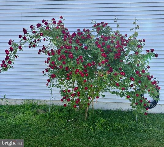 510 CILANTRO CT, Middletown, DE 19709