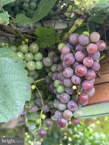 510 CILANTRO CT, Middletown, DE 19709