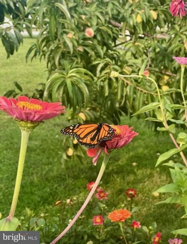 510 CILANTRO CT, Middletown, DE 19709