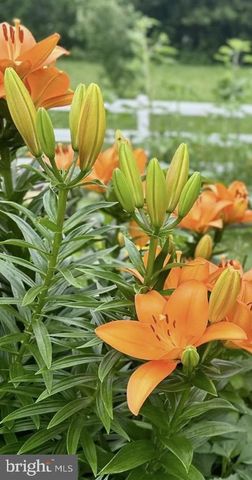 510 CILANTRO CT, Middletown, DE 19709