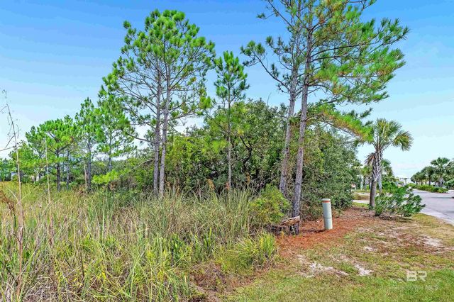 Breeze Time Circle, Gulf Shores, AL 36542