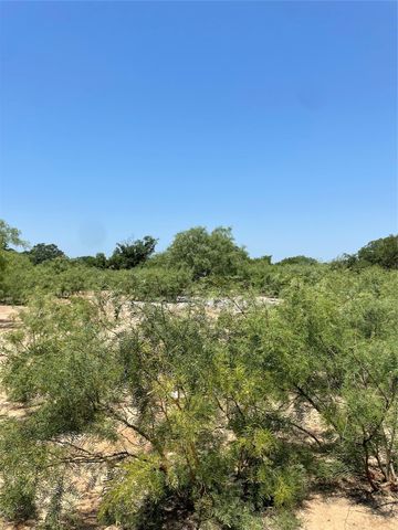 7701 Blue Quail Drive, Blanket, TX 76432