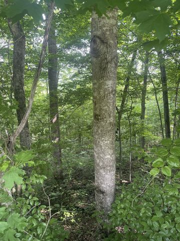 156 Schell Ln, Celina, TN 38551