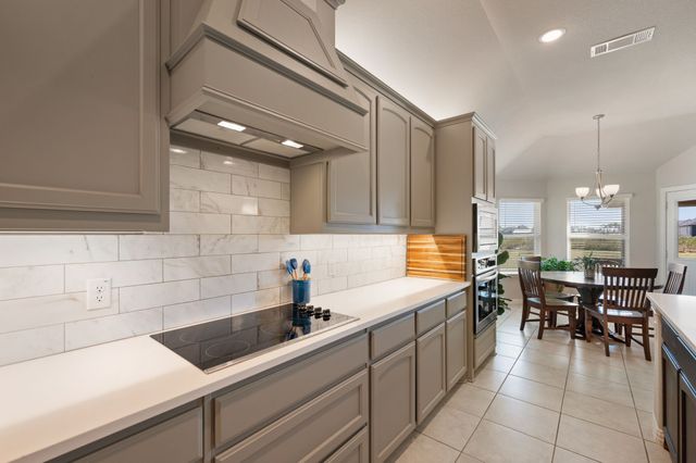 123 Mossy Creek Trail, Rhome, TX 76078