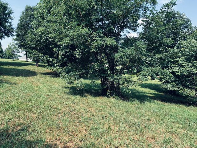 800 Sunset Circle Sv-132, Jasper, TN 37347