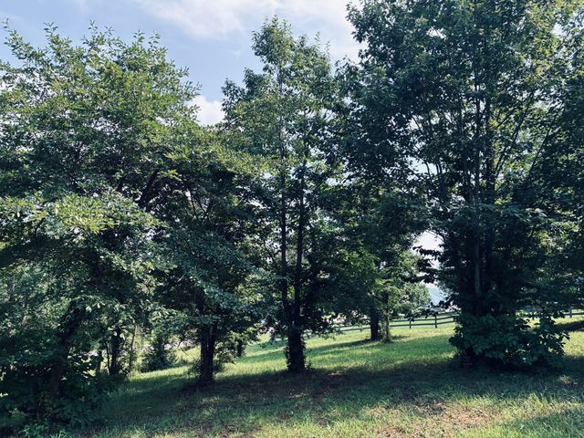 800 Sunset Circle Sv-132, Jasper, TN 37347