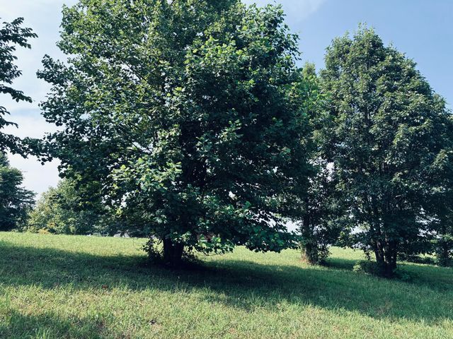 800 Sunset Circle Sv-132, Jasper, TN 37347