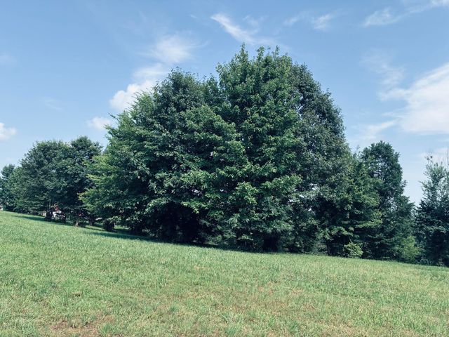 800 Sunset Circle Sv-132, Jasper, TN 37347