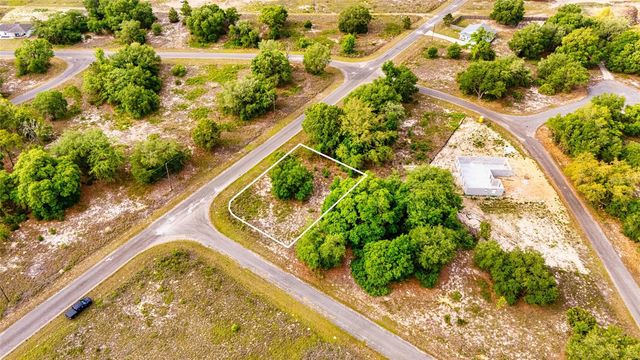39 GUAVA TRACK, Ocklawaha, FL 32179