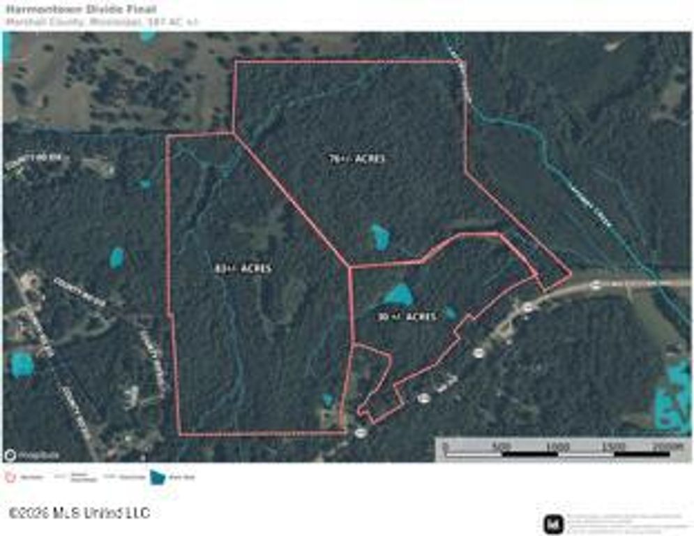 187 Highway 310, Como, MS 38619 — photo 2