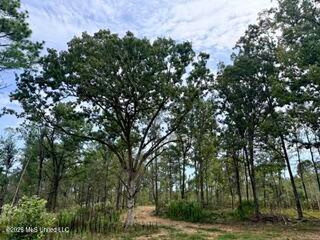 187 Highway 310, Como, MS 38619 — photo 3