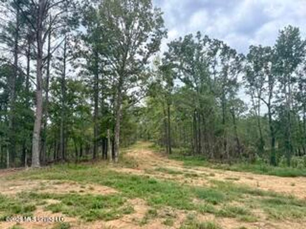 187 Highway 310, Como, MS 38619 — photo 4