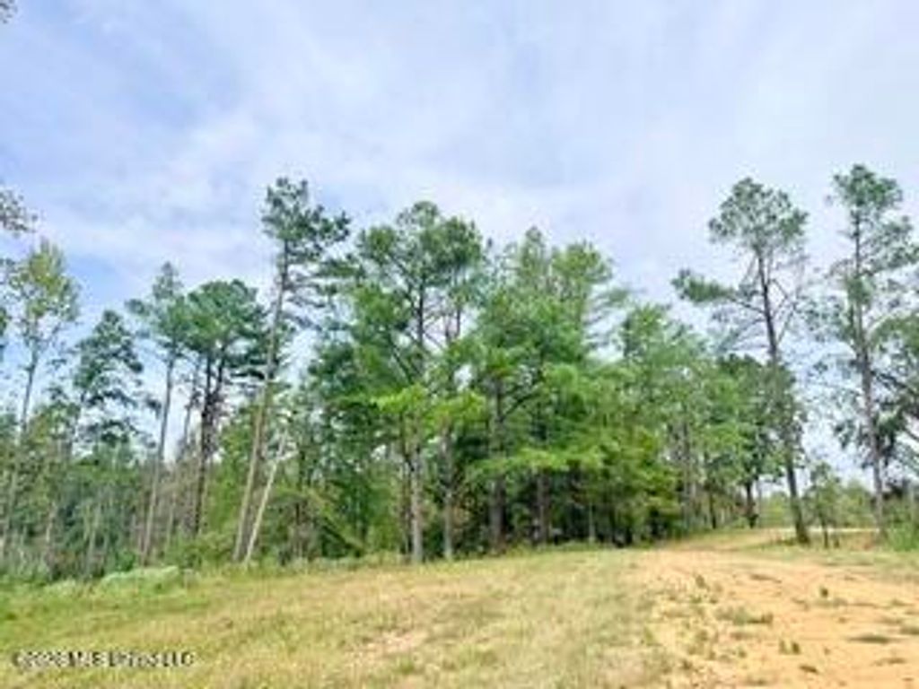 187 Highway 310, Como, MS 38619 — photo 5