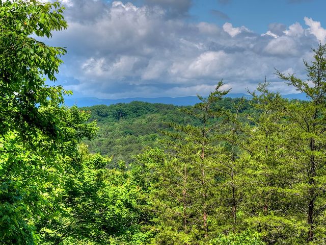 309 Katydid Road, Morganton, GA 30560