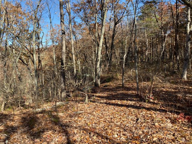 1401 Dale Trail, Menlo, GA 30731