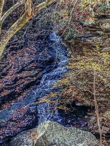 1401 Dale Trail, Menlo, GA 30731