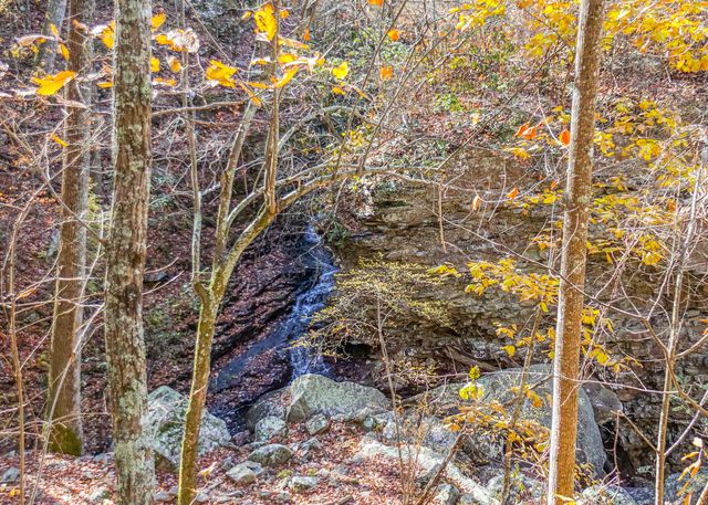 1401 Dale Trail, Menlo, GA 30731