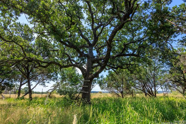 3936 S State HWY 16, Fredericksburg, TX 78624