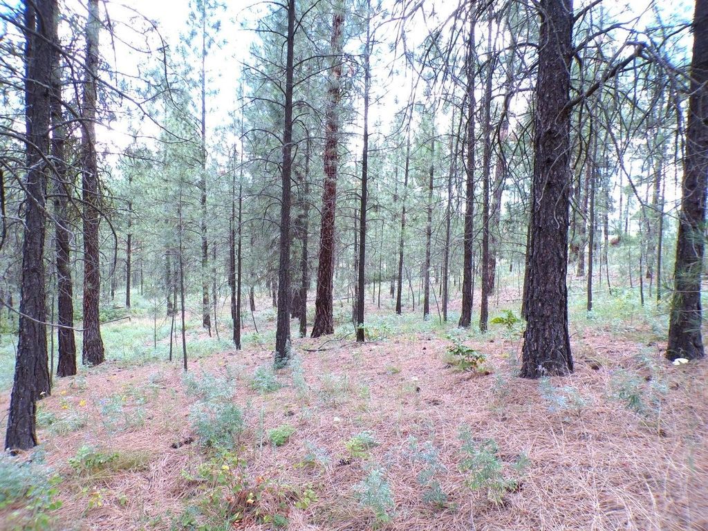 1185 Fumi Cir, Kettle Falls, WA 99141 photo 11