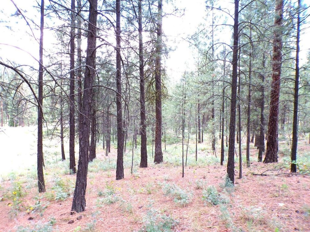 1185 Fumi Cir, Kettle Falls, WA 99141 photo 12