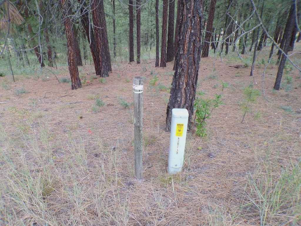 1185 Fumi Cir, Kettle Falls, WA 99141 photo 13