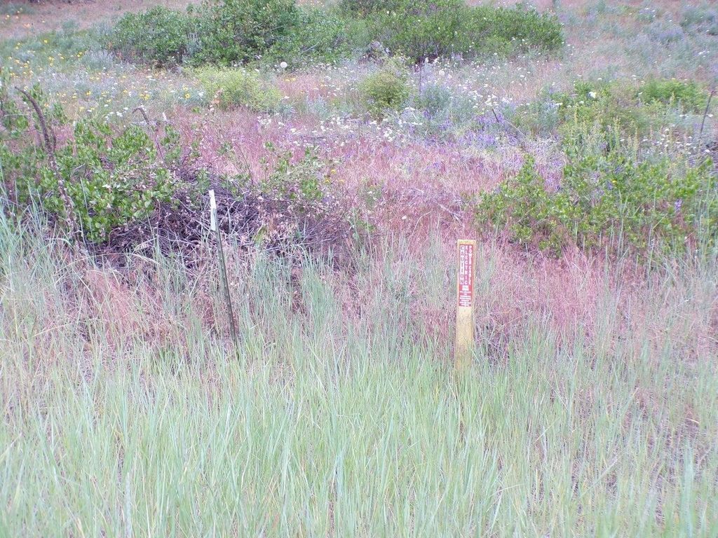 1185 Fumi Cir, Kettle Falls, WA 99141 photo 14