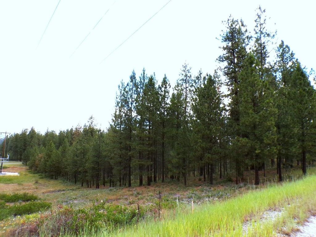 1185 Fumi Cir, Kettle Falls, WA 99141 photo 15