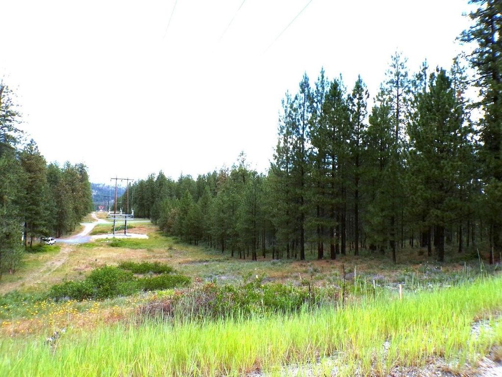 1185 Fumi Cir, Kettle Falls, WA 99141 photo 16