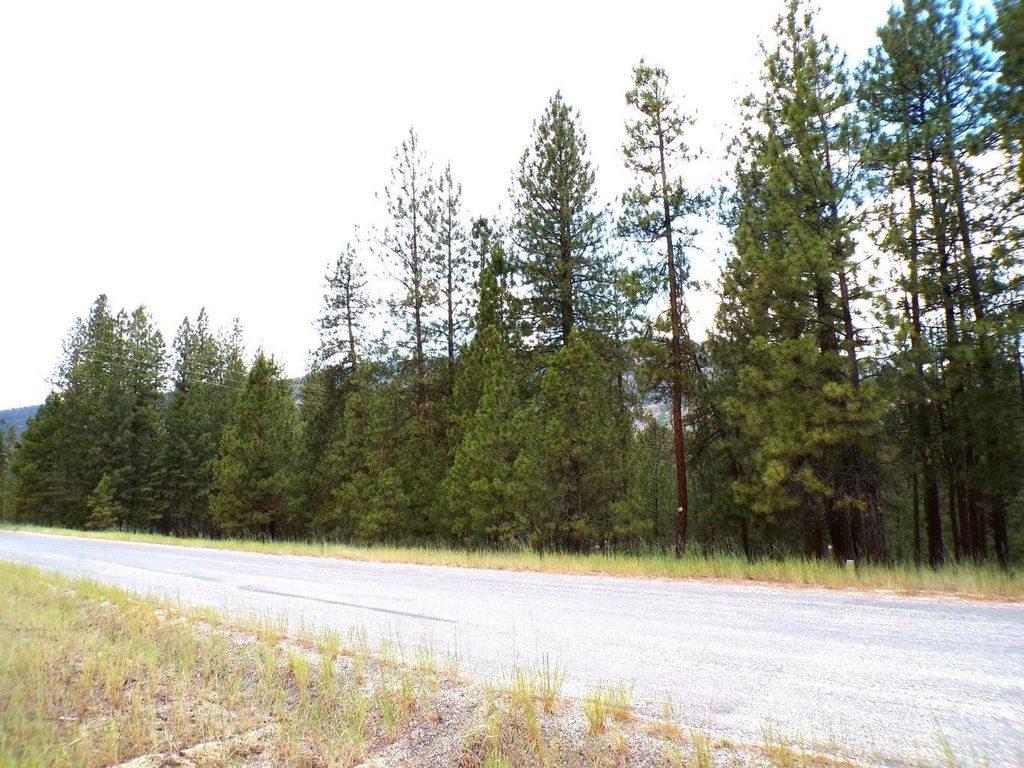 1185 Fumi Cir, Kettle Falls, WA 99141 photo 5