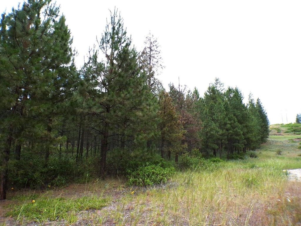 1185 Fumi Cir, Kettle Falls, WA 99141 photo 7