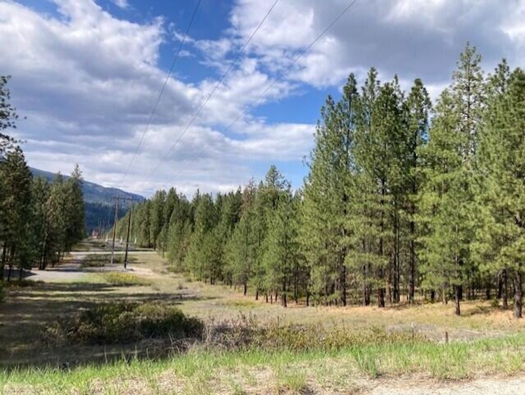 1185 Fumi Cir, Kettle Falls, WA 99141 photo 8