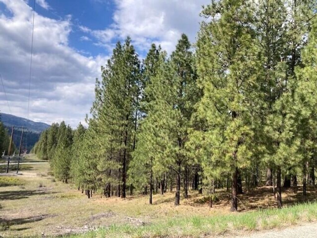 1185 Fumi Cir, Kettle Falls, WA 99141 photo 9