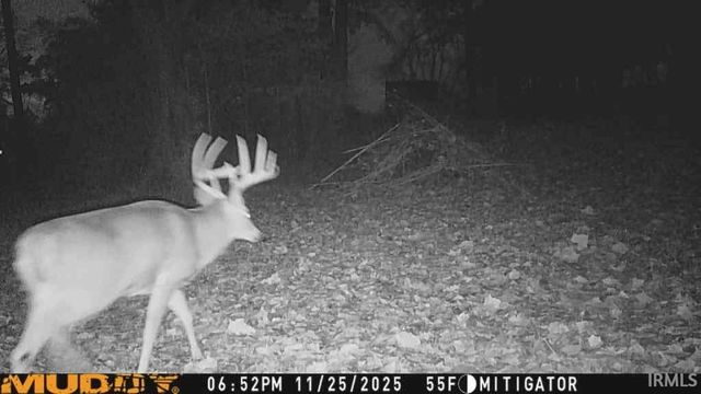 3029 Oakhill Road, Evansville, IN 47711